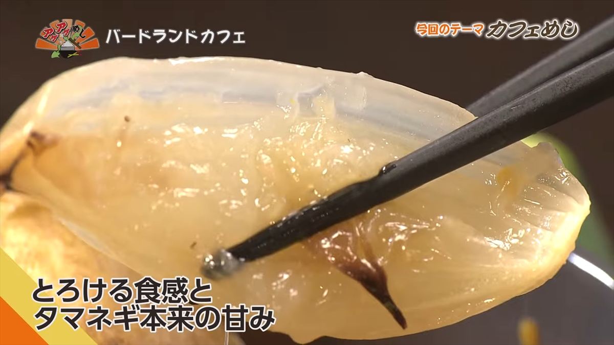 バードランドカフェ(沖縄市呉屋)|OTV アゲアゲめし 2025年10月24日放送