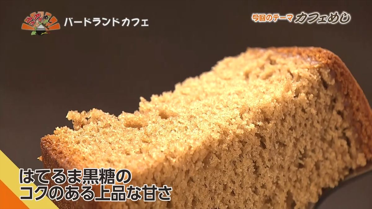 バードランドカフェ(沖縄市呉屋)|OTV アゲアゲめし 2025年10月24日放送