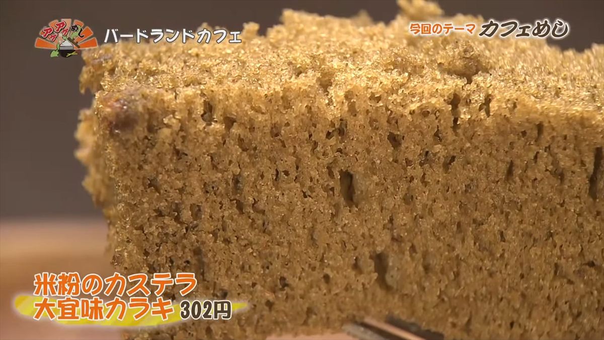 バードランドカフェ(沖縄市呉屋)|OTV アゲアゲめし 2025年10月24日放送