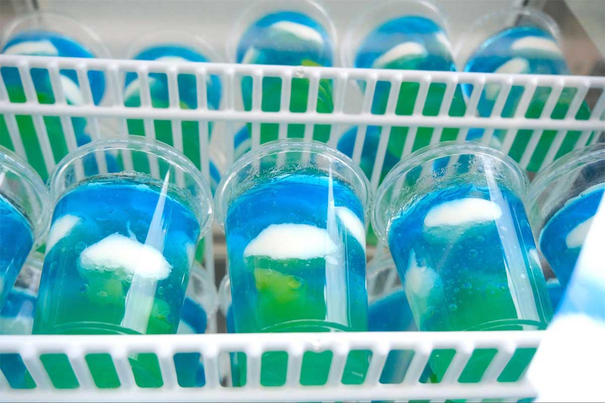 ジャングリアのフードカート10カ所をガチ食べ歩き!あなたはどれをチョイスしますか?