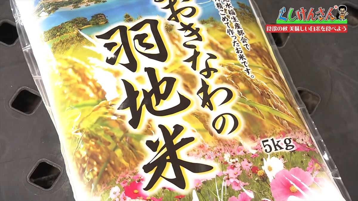 具志堅用高が「ウマいっ！おいしいねぇ～」と大興奮！沖縄のお米を炊き立てでいただく！【ぐしけんさん】