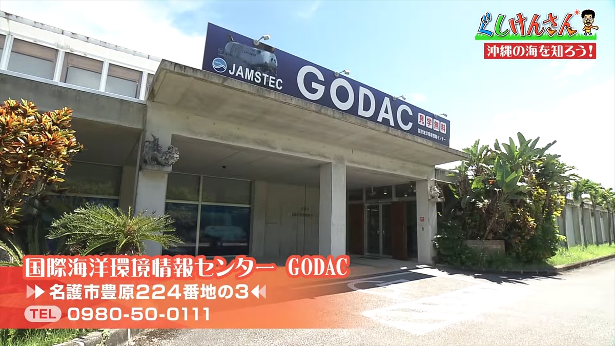 「おいしそうだねー」具志堅用高が巨大イカをみて衝撃の一言!沖縄の海のナゾに挑む!【ぐしけんさん】