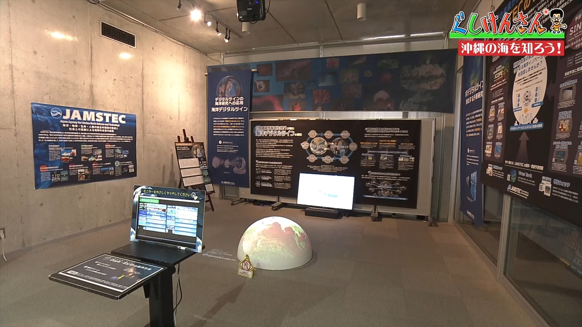 「おいしそうだねー」具志堅用高が巨大イカをみて衝撃の一言!沖縄の海のナゾに挑む!【ぐしけんさん】