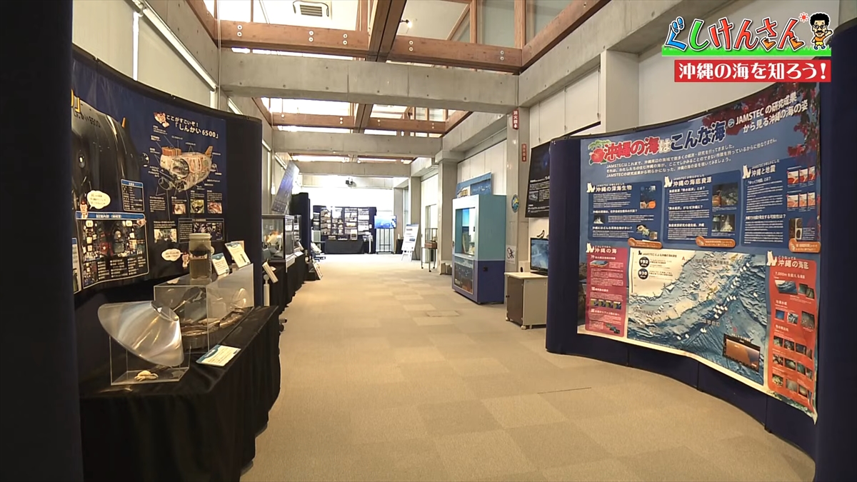 「おいしそうだねー」具志堅用高が巨大イカをみて衝撃の一言!沖縄の海のナゾに挑む!【ぐしけんさん】