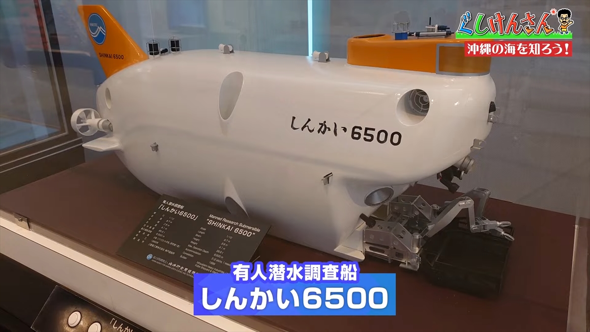 「おいしそうだねー」具志堅用高が巨大イカをみて衝撃の一言!沖縄の海のナゾに挑む!【ぐしけんさん】