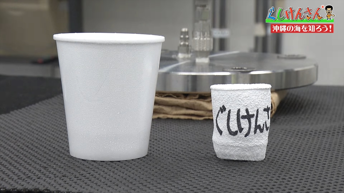 「おいしそうだねー」具志堅用高が巨大イカをみて衝撃の一言!沖縄の海のナゾに挑む!【ぐしけんさん】