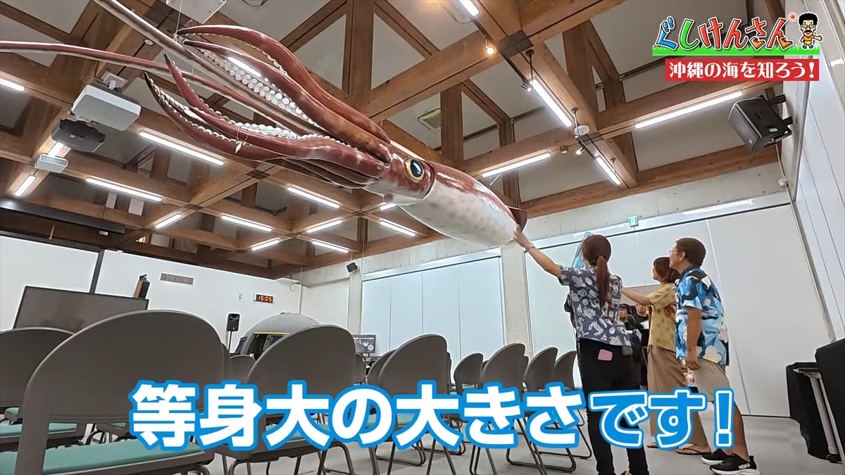 「おいしそうだねー」具志堅用高が巨大イカをみて衝撃の一言!沖縄の海のナゾに挑む!【ぐしけんさん】