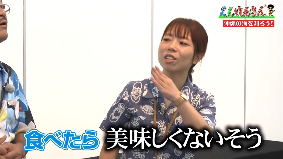 「おいしそうだねー」具志堅用高が巨大イカをみて衝撃の一言!沖縄の海のナゾに挑む!【ぐしけんさん】