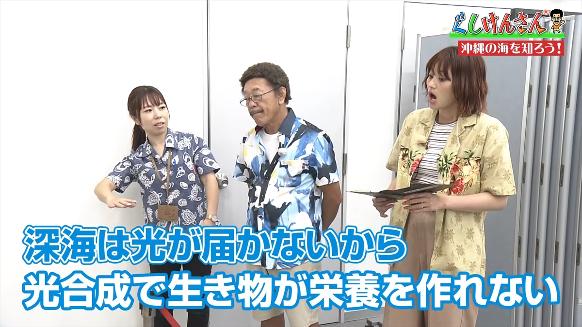 「おいしそうだねー」具志堅用高が巨大イカをみて衝撃の一言!沖縄の海のナゾに挑む!【ぐしけんさん】