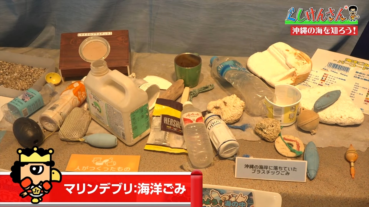 「おいしそうだねー」具志堅用高が巨大イカをみて衝撃の一言!沖縄の海のナゾに挑む!【ぐしけんさん】