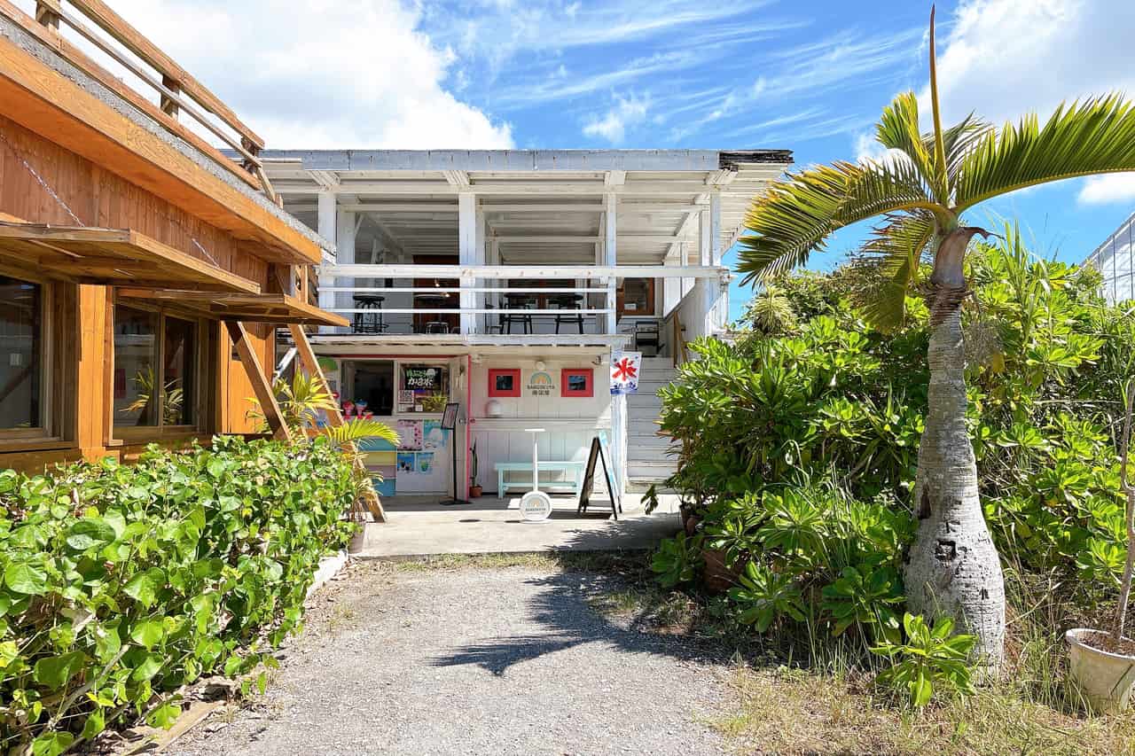 モチぷち食感がたまらない。ヤバ旨!「海ぶどう沖縄そば店ぷちぷち」の海ん道スペシャルそば(糸満市)