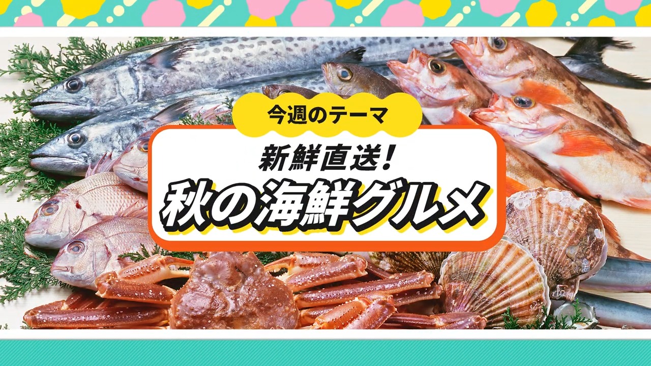 ウィンウィン　2025年10月12日放送　