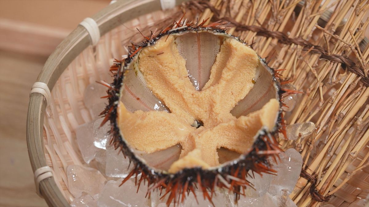 ウィンウィン　2025年10月12日放送　