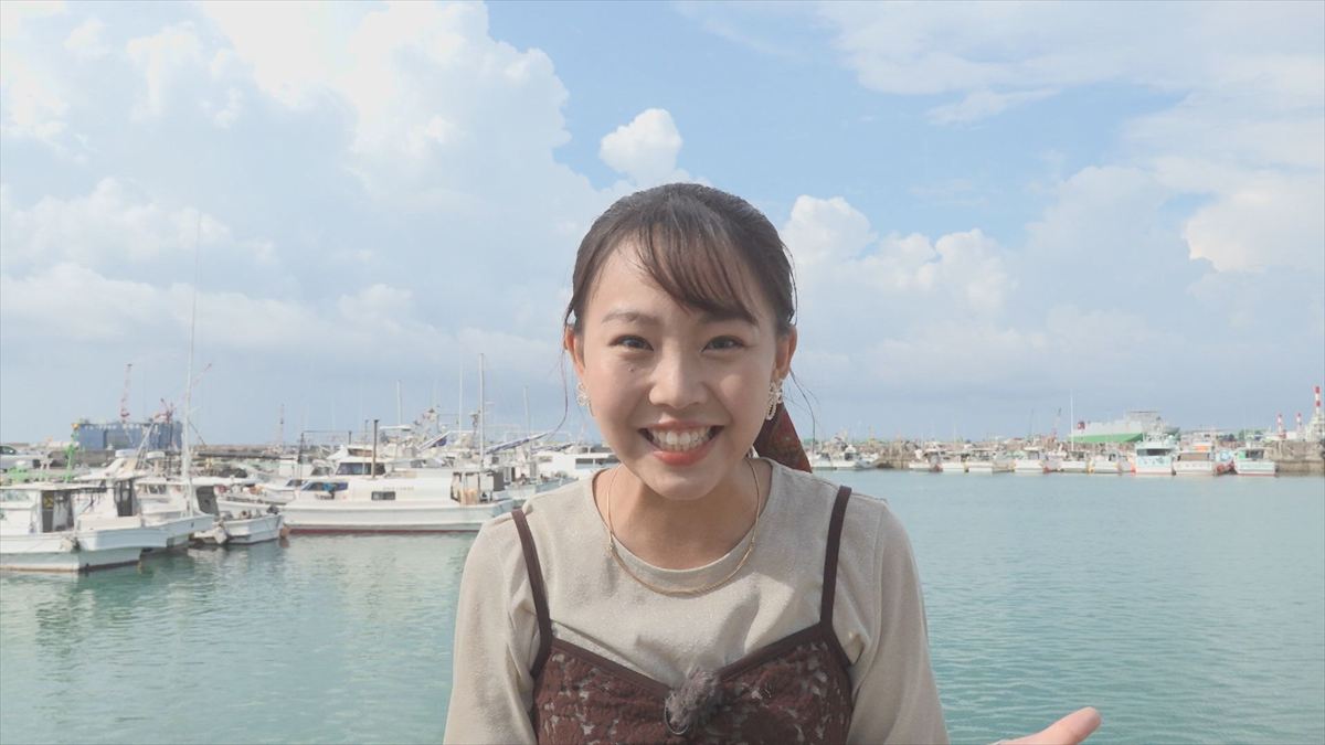 ウィンウィン　2025年10月12日放送　