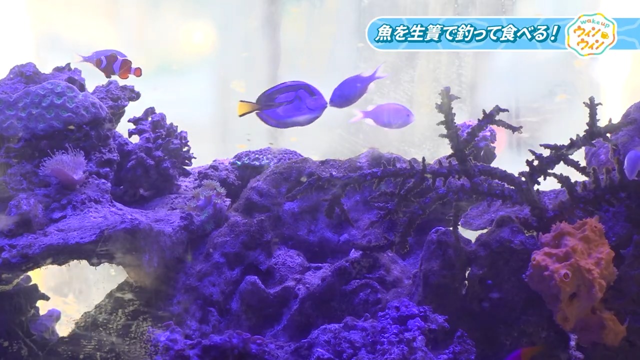 ウィンウィン　2025年10月12日放送　
