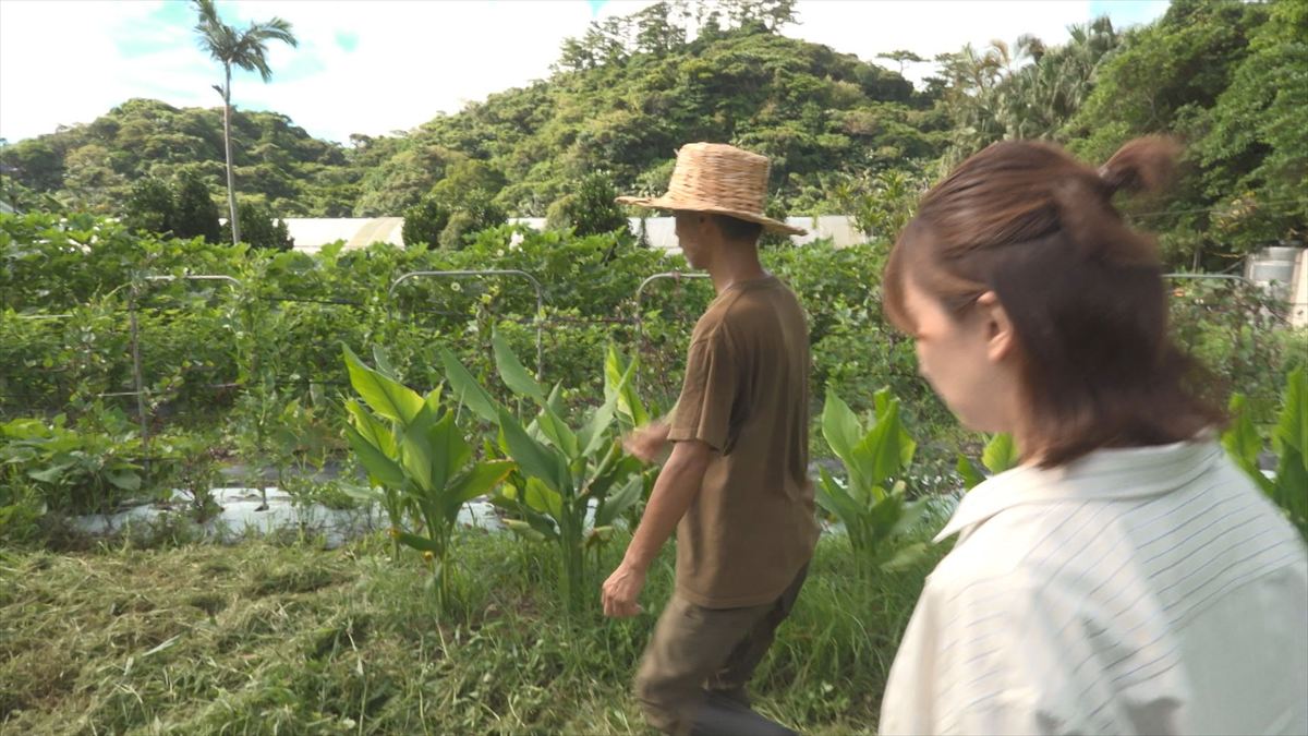 ウィンウィン 2025年10月19日放送