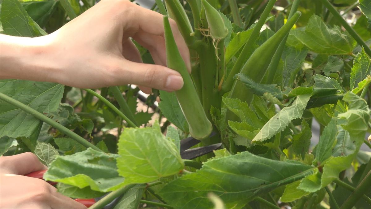 ウィンウィン 2025年10月19日放送