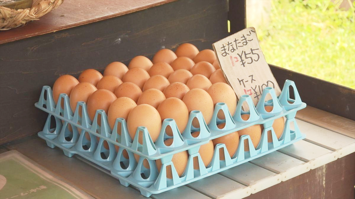 ウィンウィン 2025年10月19日放送