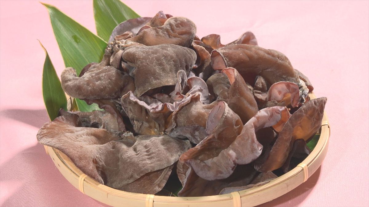 ウィンウィン　2025年10月19日放送　