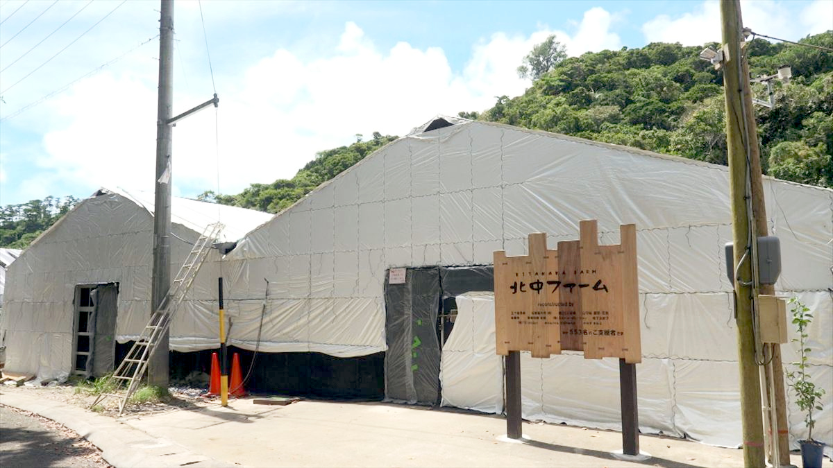 ウィンウィン　2025年10月19日放送　