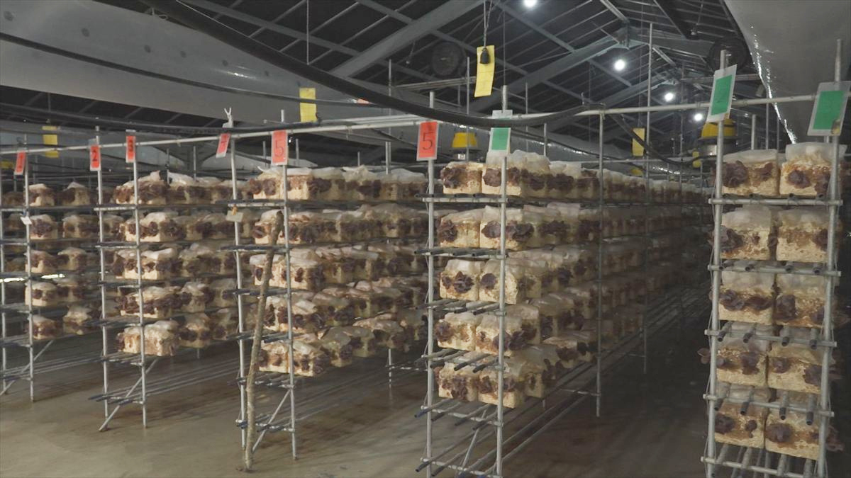 ウィンウィン　2025年10月19日放送　