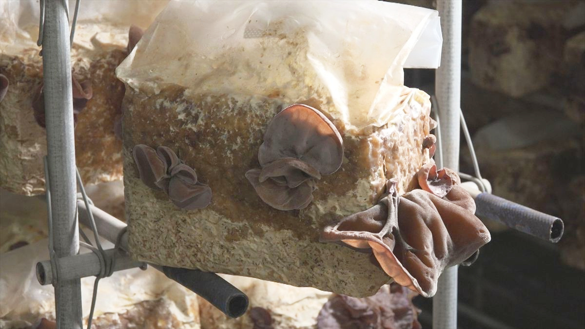 ウィンウィン　2025年10月19日放送　