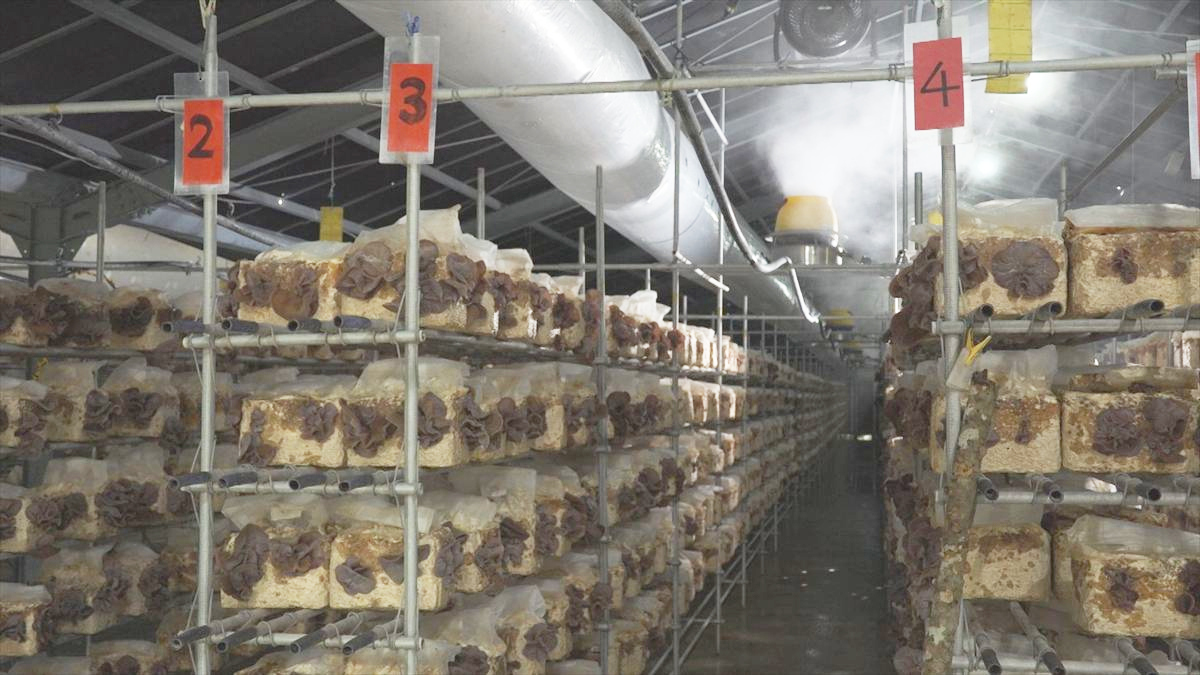 ウィンウィン　2025年10月19日放送　