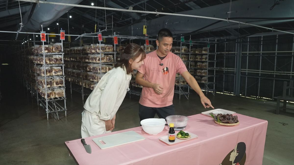 ウィンウィン　2025年10月19日放送　