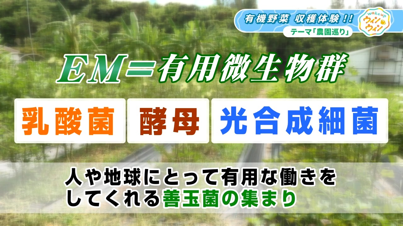 ウィンウィン 2025年10月19日放送