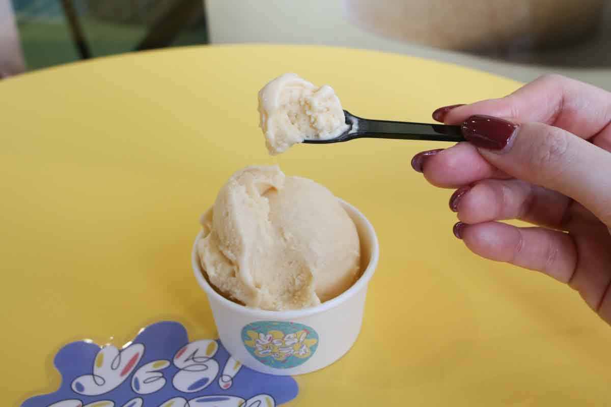 うるまジェラートを那覇で！？自然の恵みがぎゅっと詰まった低脂質・無添加ジェラートに胸が高鳴る「YES！ジェラート」（那覇市）