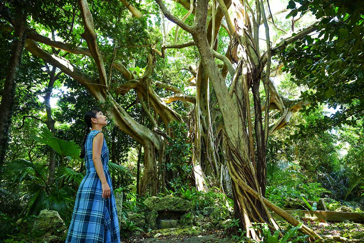 沖縄の定番観光に飽きたらコレ！琉球王国のルーツ・南城市佐敷のディープスポットを巡る「佐敷まーい」ARスタンプラリー