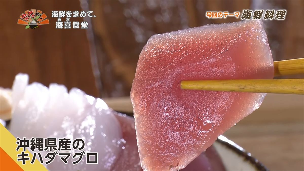 海鮮を求めて、海喜食堂（みきしょくどう）（本部町伊豆味）｜OTV アゲアゲめし 2025年11月14日放送