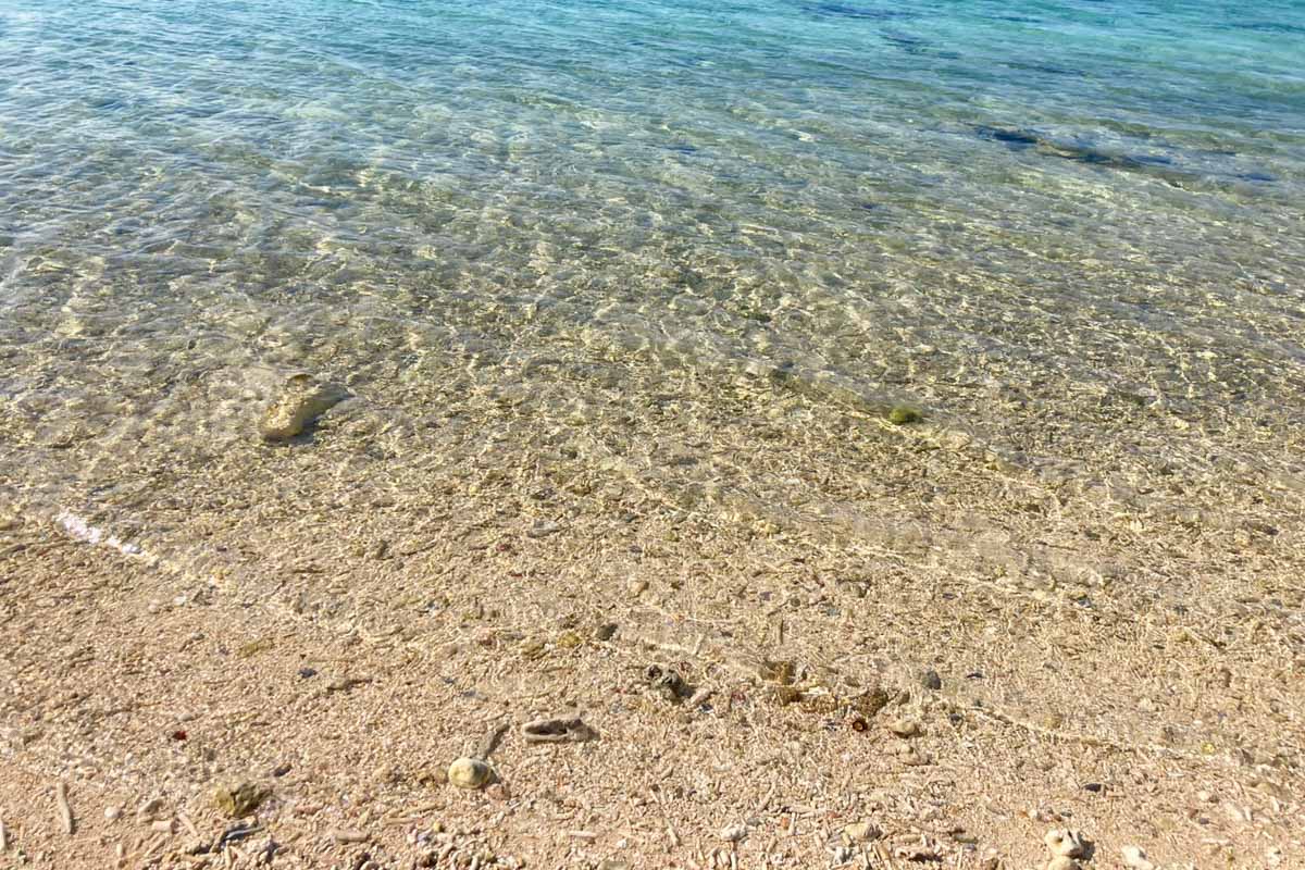 フクギ並木からほど近い！穏やかな海が広がる備瀬の浜（備瀬ビーチ）で癒しのひとときを味わおう（本部町）