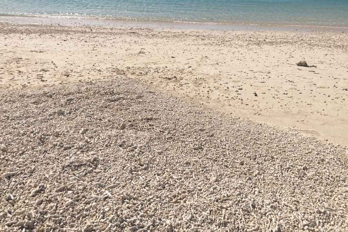 太陽が映える絶景スポット！豊崎海浜公園「美らSUNビーチ」の開放感と多機能性（豊見城市）