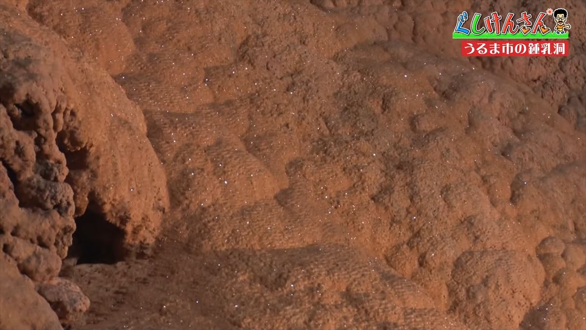 具志堅用高がヤギを飼う!?鍾乳洞にカフェ動物と触れ合える施設で大はしゃぎ！【ぐしけんさん】