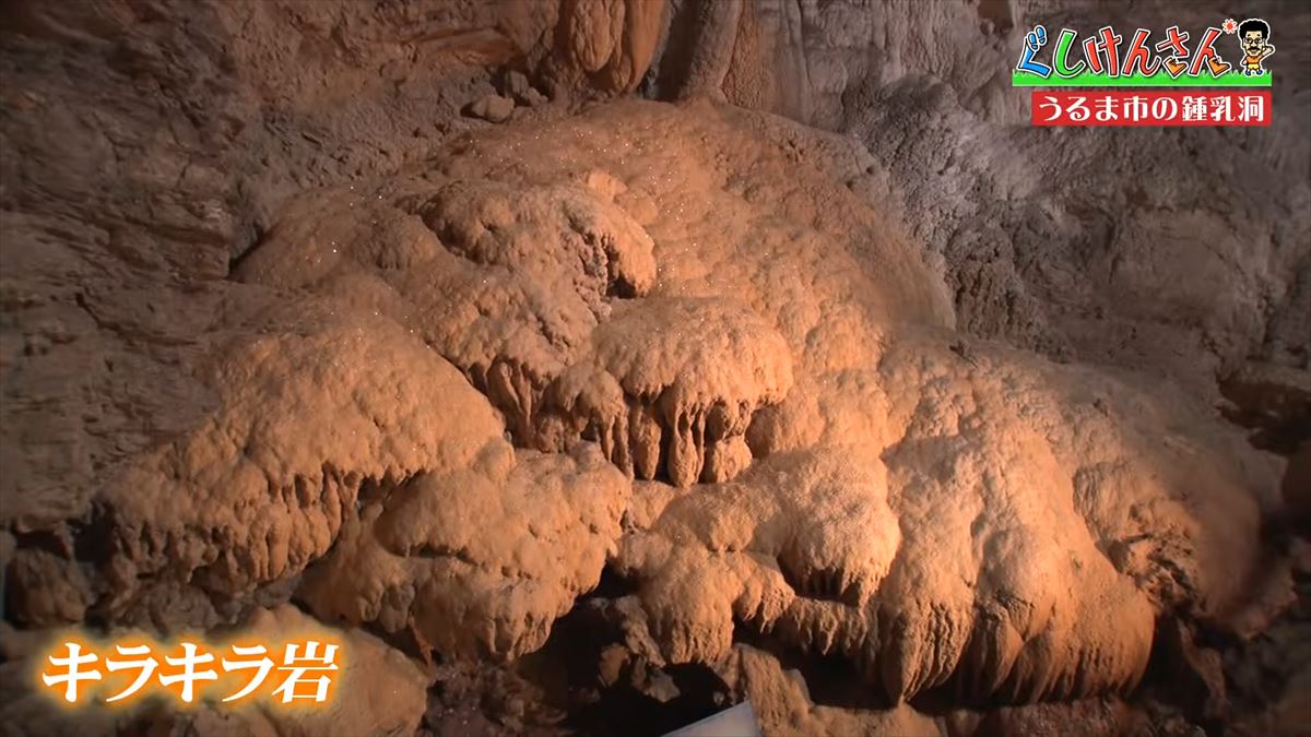 具志堅用高がヤギを飼う!?鍾乳洞にカフェ動物と触れ合える施設で大はしゃぎ！【ぐしけんさん】