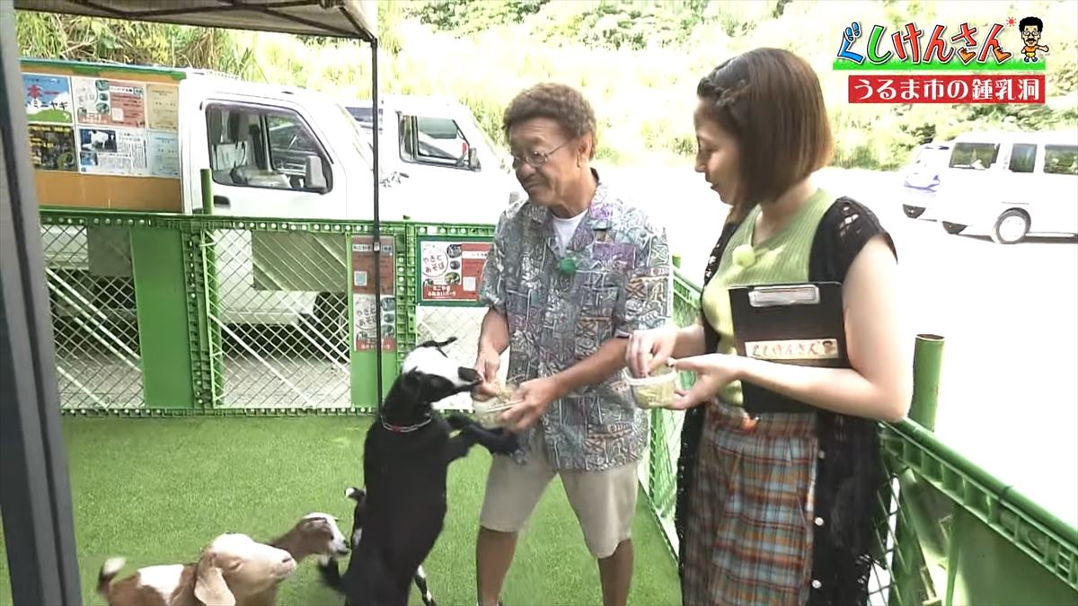 具志堅用高がヤギを飼う!?鍾乳洞にカフェ動物と触れ合える施設で大はしゃぎ！【ぐしけんさん】