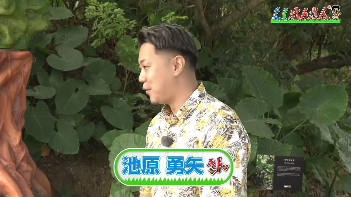 具志堅用高がヤギを飼う!?鍾乳洞にカフェ動物と触れ合える施設で大はしゃぎ！【ぐしけんさん】