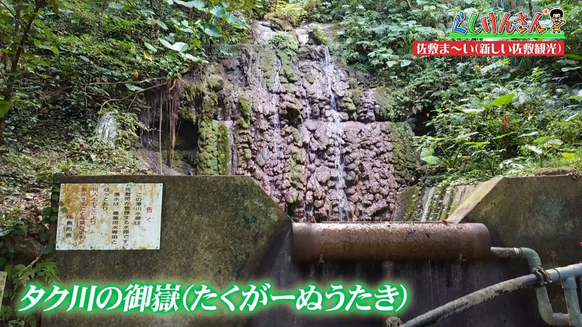 具志堅用高が「シーサーも泳ぐんだから！」まさかのツッコミ！？新しい観光の形に大興奮！【ぐしけんさん】