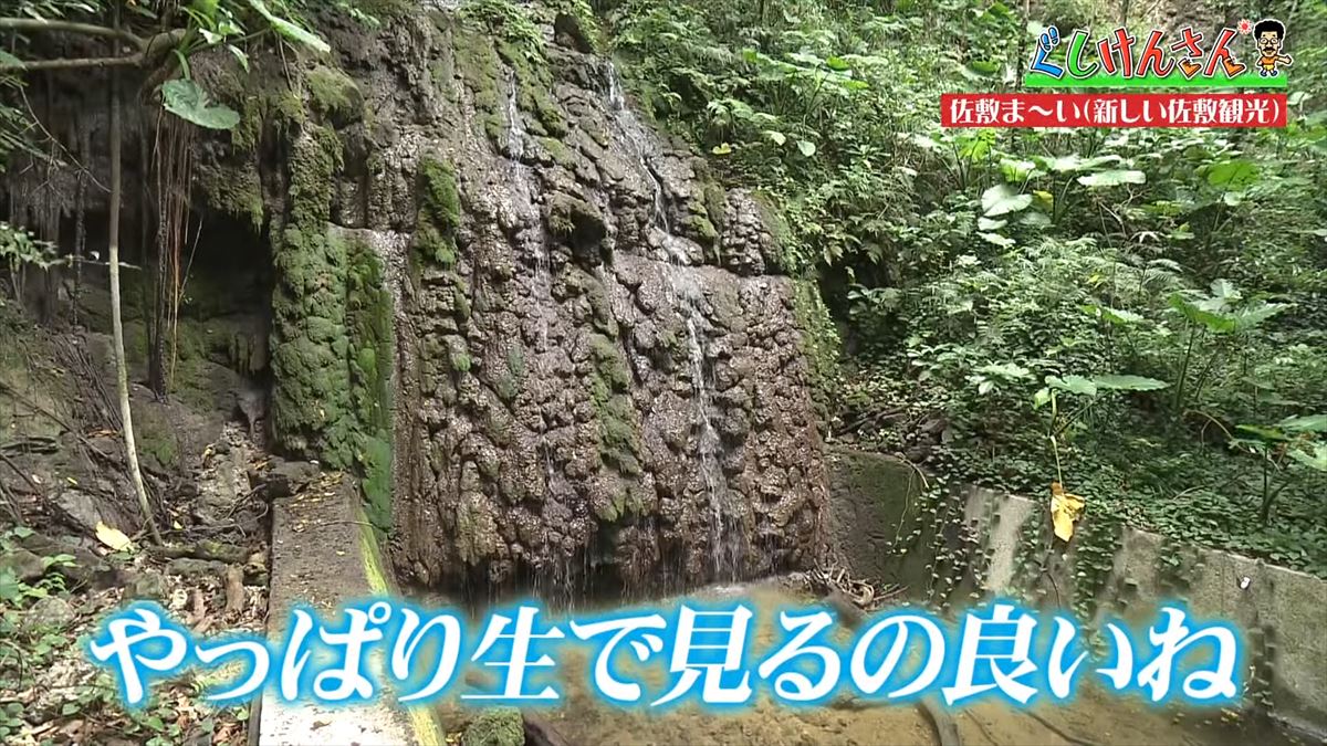 具志堅用高が「シーサーも泳ぐんだから！」まさかのツッコミ！？新しい観光の形に大興奮！【ぐしけんさん】