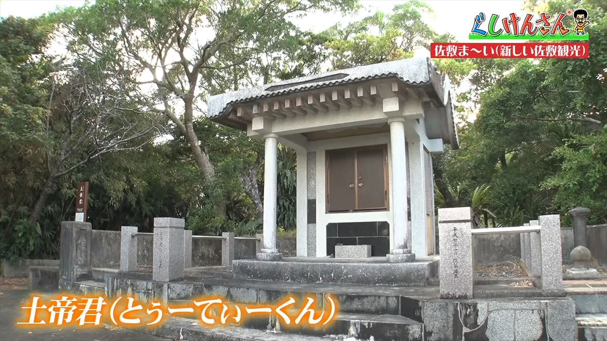 具志堅用高が「シーサーも泳ぐんだから！」まさかのツッコミ！？新しい観光の形に大興奮！【ぐしけんさん】