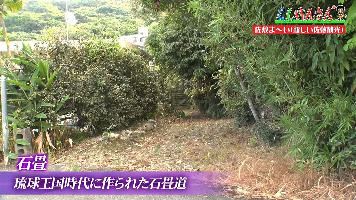 具志堅用高が「シーサーも泳ぐんだから！」まさかのツッコミ！？新しい観光の形に大興奮！【ぐしけんさん】