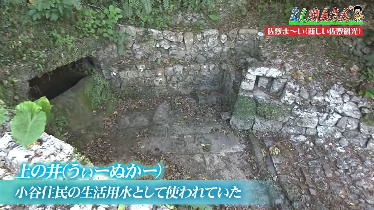 具志堅用高が「シーサーも泳ぐんだから！」まさかのツッコミ！？新しい観光の形に大興奮！【ぐしけんさん】