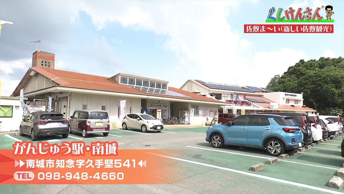 具志堅用高が「シーサーも泳ぐんだから！」まさかのツッコミ！？新しい観光の形に大興奮！【ぐしけんさん】