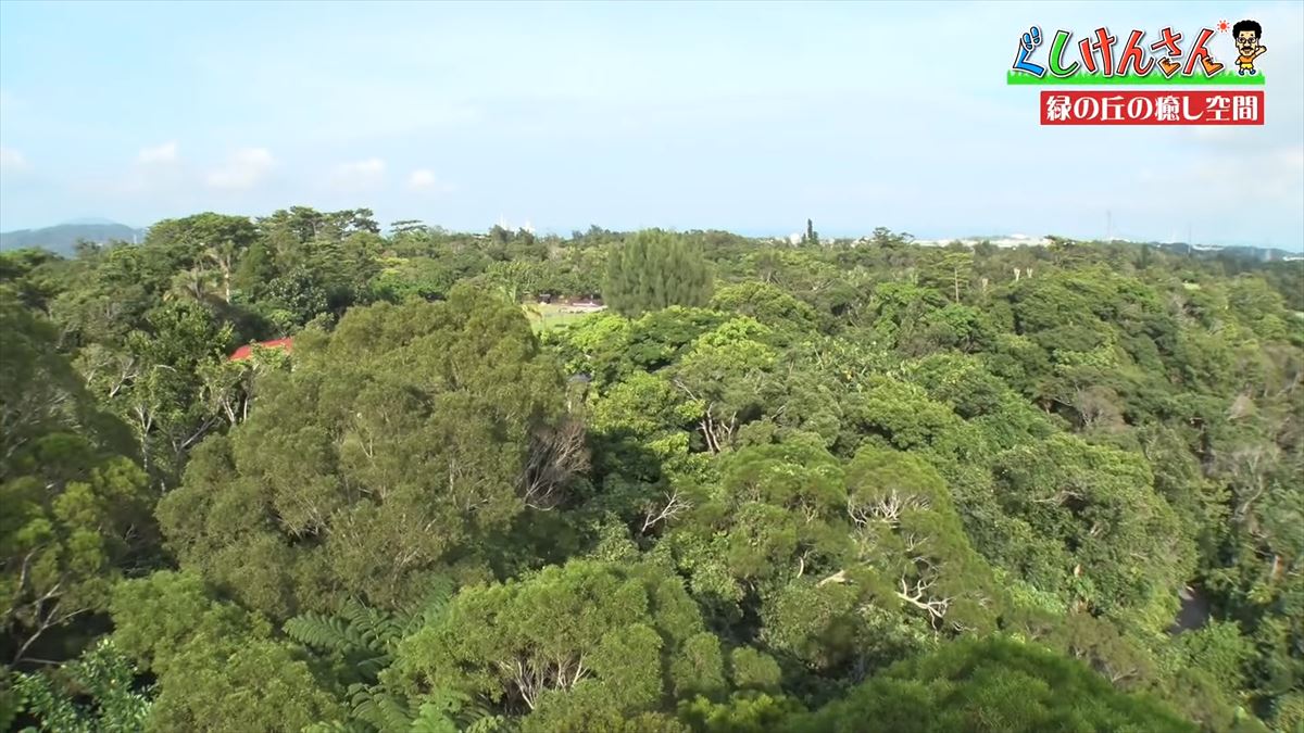 具志堅用高が悶絶！「あぁ！来たよなに！？」ドクターフィッシュ体験に湖水鑑賞、水牛車…大自然を満喫！