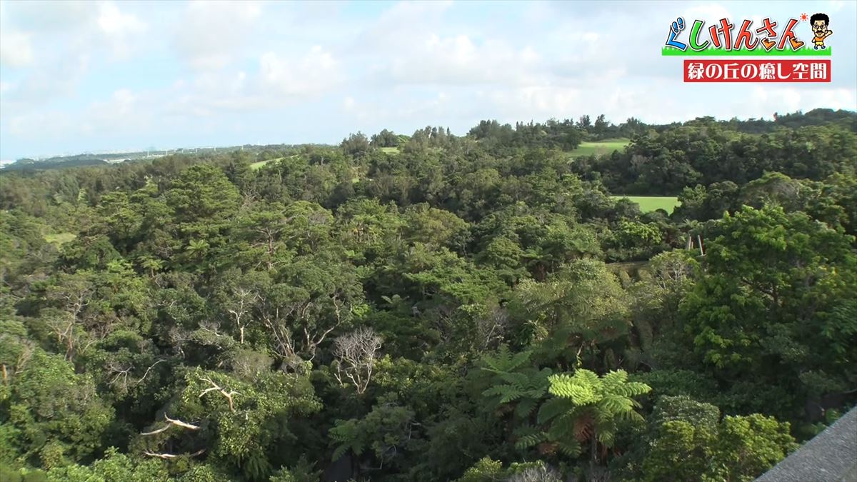 具志堅用高が悶絶！「あぁ！来たよなに！？」ドクターフィッシュ体験に湖水鑑賞、水牛車…大自然を満喫！