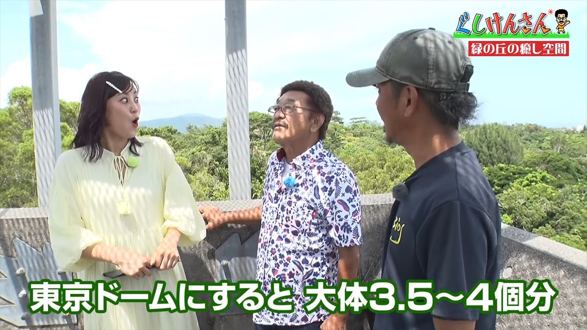 具志堅用高が悶絶！「あぁ！来たよなに！？」ドクターフィッシュ体験に湖水鑑賞、水牛車…大自然を満喫！