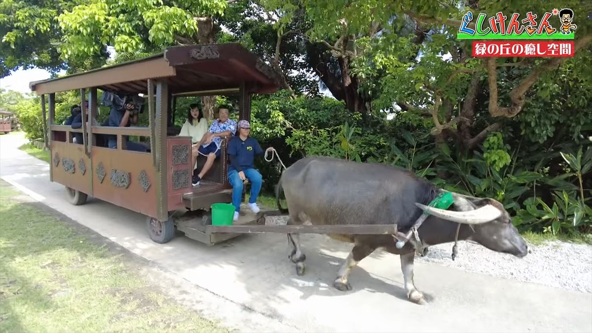 具志堅用高が悶絶！「あぁ！来たよなに！？」ドクターフィッシュ体験に湖水鑑賞、水牛車…大自然を満喫！