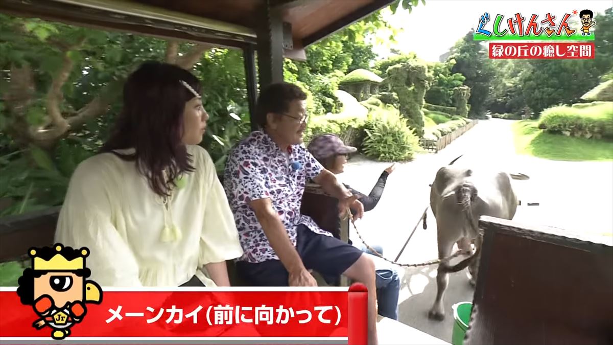 具志堅用高が悶絶！「あぁ！来たよなに！？」ドクターフィッシュ体験に湖水鑑賞、水牛車…大自然を満喫！