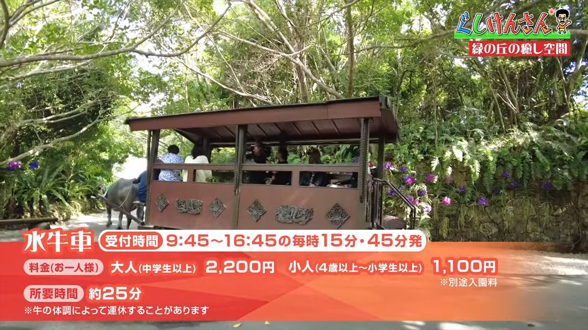 具志堅用高が悶絶！「あぁ！来たよなに！？」ドクターフィッシュ体験に湖水鑑賞、水牛車…大自然を満喫！